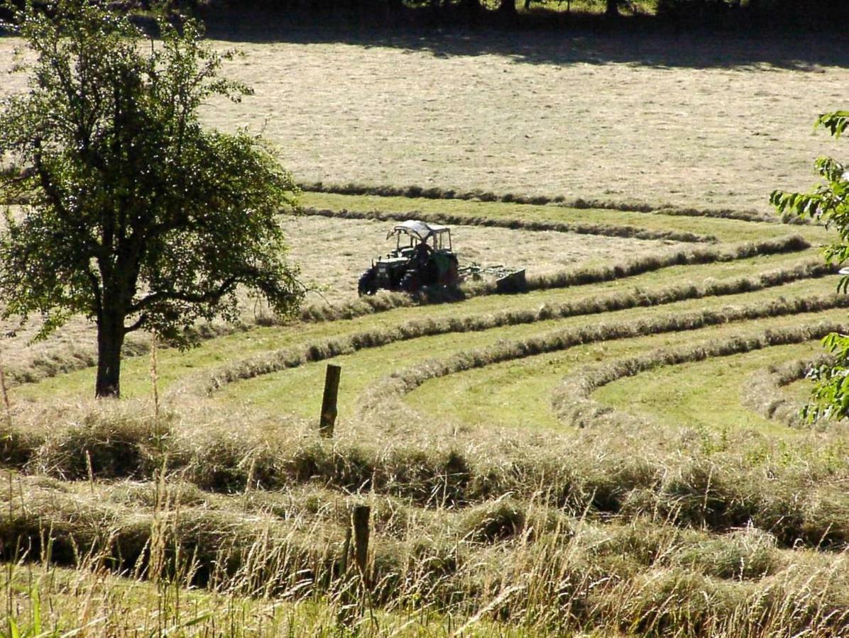 Schoenblick - Gemuetlich Uebernachten! Ober-Hambach Exteriör bild